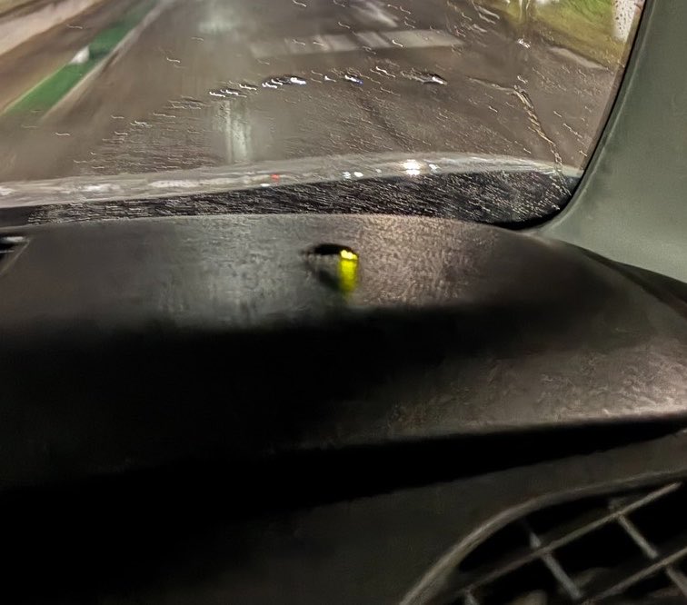 KIBUN_7_7_7's tweet photo. 車の窓あけてたらホタル入ってきたんですが笑
最近全くみないのに、車内に入ってくるとかレアすぎませんか?✨ https://t.co/jFaaOJiIOB