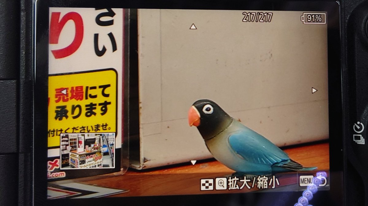 daisuke_twt's tweet photo. 町田のヨドバシでα7R VIを触ってきました。

レジカウンターに置いてあった小さな小鳥の置物にカメラを向けると、しっかり目にピントが合う。

ソニー恐るべし。 https://t.co/Vr7G8RkXqC