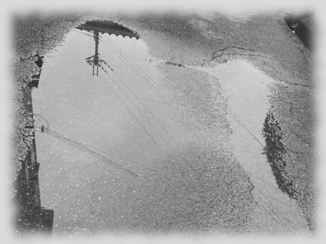 rokusanjin's tweet photo. 雨上りの散歩。
水溜りノスタルジア。 https://t.co/M051wtbERb