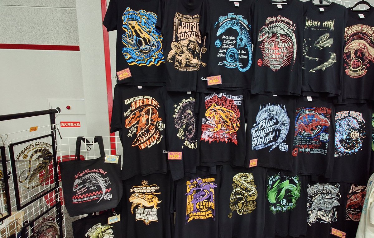 oosakaMacropus's tweet photo. Tシャツが全てかっこいい！
悩んだ結果、厳選して2枚購入。
月末にカエル巡りの旅をするのでツノガエルTシャツを早速��させていただきます！
#レプタイルズフィーバー
#レプフィ 
#BlackyDesigning https://t.co/K8fknBFbsj