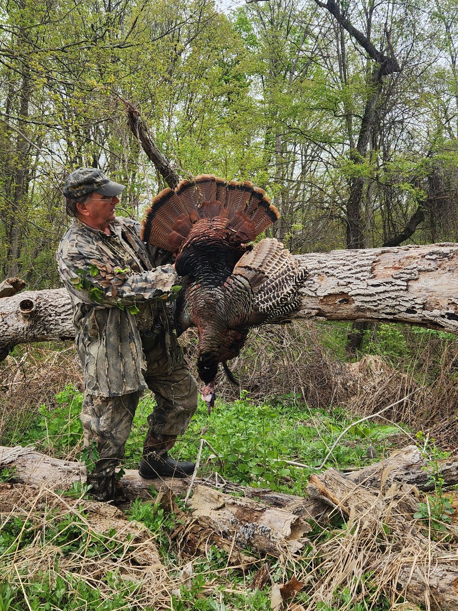 njwoodsandwater's tweet photo. Congrats to gobblergetter on a nice NJ gobbler back in April!
https://t.co/E5DQGjVAn8 #NJWoodsAndWater #NJHunting https://t.co/tayNDe15Rm