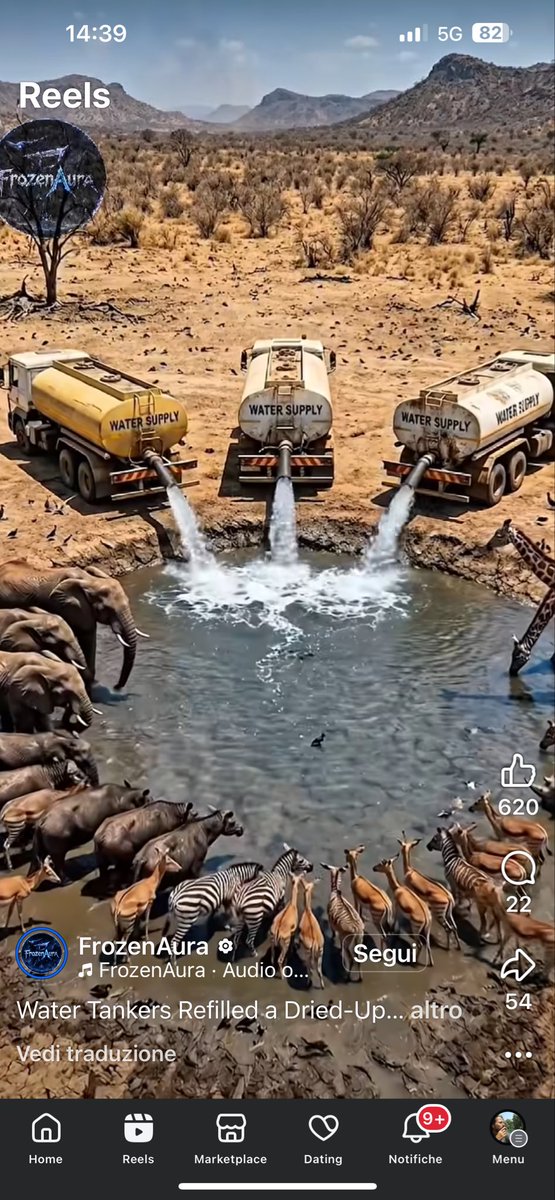 AthosDeLuca's tweet photo. Autobotti per dissetare animali in Africa. https://t.co/kZS41cQVaS