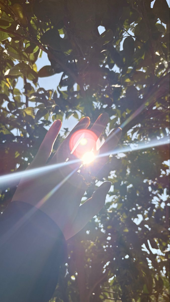 ll7rx_'s tweet photo. - شـ☀️ـس https://t.co/frSUyqRpeF