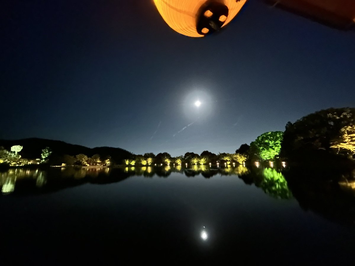 Kicokyotoaddict's tweet photo. #京都 好きさんに届け！

大覚寺の「#観月の夕べ」は
一生に一度は体験してほしい！
遊覧舟からの観月は本当に優雅で、
平安貴族が見た景色をそのまま体験できます✨
おひとり様でも⭕️

💡倍率高め
京都市民当たらない説もありですが、
去年平日に応募して当選しました！
（動画と写真は2025年） https://t.co/i0u9rT27Zq