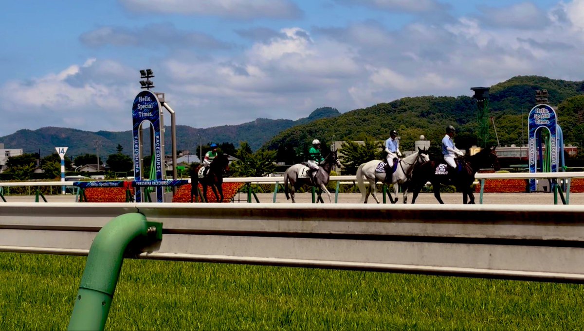marukeji's tweet photo. ①主人の実家に所用があり福島へ🚄

その前に、ちょっと福島競馬場に寄り道🐴

昨年、ドラマ「ザ・ロイヤルファミリー🏇」にハマってしまい、競馬場に行ってみたいと思ってました👏 

ちょうど福島競馬場で開催されいて良かった🤗

颯爽と駆け抜けるお馬さんの格好良さに感度🤩 https://t.co/dWCcPKma2Y