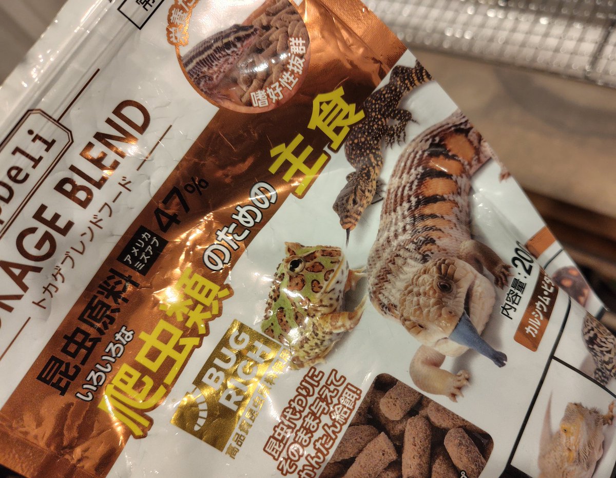 mouse_mania's tweet photo. 会社の外廊下に螻蛄（オケラ・ケラ）がいた。薄いケースに穴開けて土入れて、久々飼育。トカゲの餌を食べて元気になった。捕獲して44日目。 https://t.co/QOAVyfIjrp