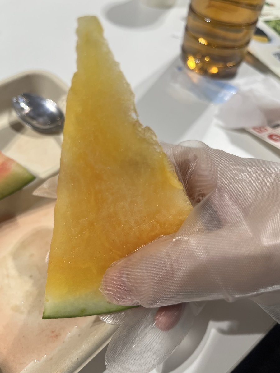 xyumiyumi_0116x's tweet photo. スイカパーティー 2026も幸せだった✨

アタシ的、No.1は⑪の金色羅皇(ｺﾝｼﾞｷﾗｵｳ)という黄色いスイカでしたー！
(写真のやつ)
甘さと食感(シャリシャリ)が好きな感じ。
次点は、⑨のあさひの小玉すいか。
小玉といいつつ、大玉に近い大きさで、甘さが👍 https://t.co/P4IvUzLVa5