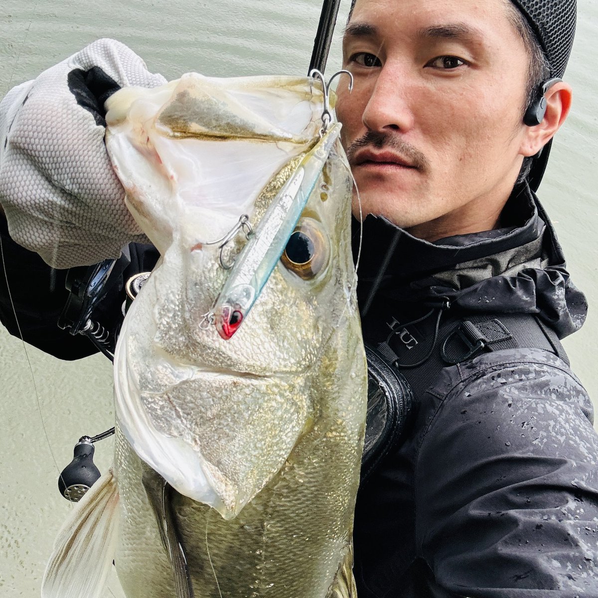 anglerisdead's tweet photo. トップでシーバス狙ってると久しぶりに追尾らしい追尾にドキドキ
ペンシルがダイブしたから止めたら浮上した瞬間にチュパ♡ https://t.co/YRJiHZ9qDl