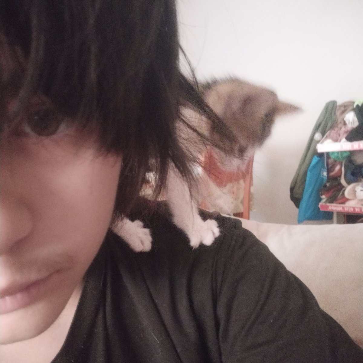 cigarettebone's tweet photo. I love my beautiful retard kitty https://t.co/q5aVatWwr6