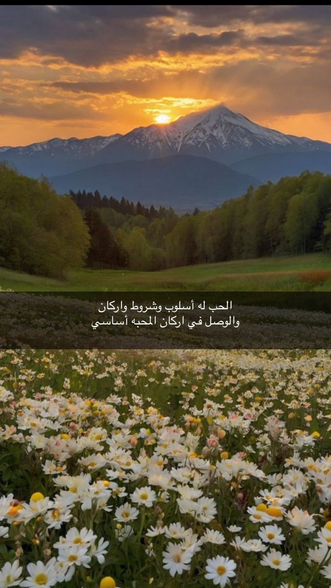 shagoe2011's tweet photo. الحب له أسلوب وشروط واركان 
والوصل في اركان المحبه أساسي https://t.co/bB5Bom9oZ2
