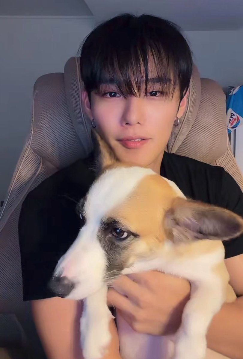 cixfixkr's tweet photo. seunghun revealed that he adopted a dog from a shelter in namyangju and it becomes his new family now, named as shuni which combination of seunghun+huni 🐶🐾

his dream to become a dad’s dog finally real now…. 😭

#CIX #승훈 #SEUNGHUN https://t.co/QfsihhbjfH