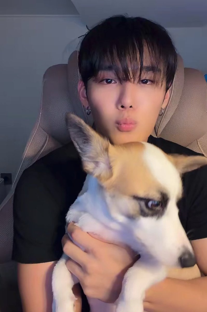 cixfixkr's tweet photo. seunghun revealed that he adopted a dog from a shelter in namyangju and it becomes his new family now, named as shuni which combination of seunghun+huni 🐶🐾

his dream to become a dad’s dog finally real now…. 😭

#CIX #승훈 #SEUNGHUN https://t.co/QfsihhbjfH
