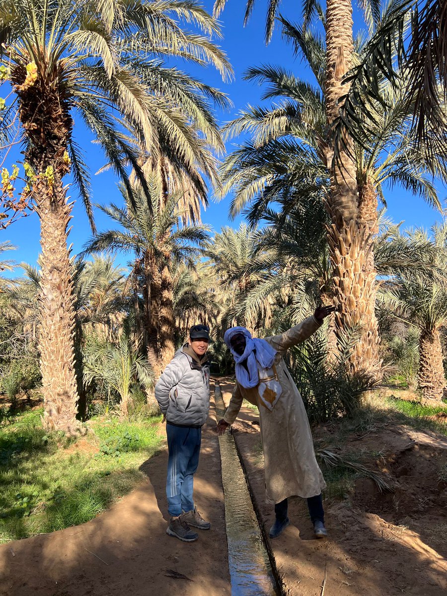 toursinto's tweet photo. 3 days tour from Fes https://t.co/LHM10sWAWj