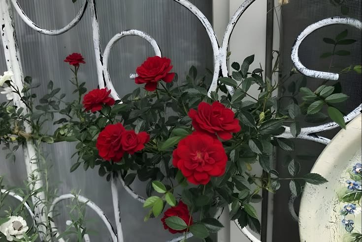 kooromi19's tweet photo. flower is the cure https://t.co/qRLvS1Ty4d