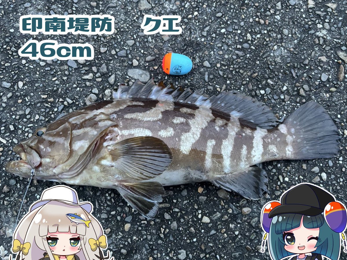 YK釣具工房 (@YKturigukoubou) / Posts / X YK釣具工房 (@YKturigukoubou) / Posts / X