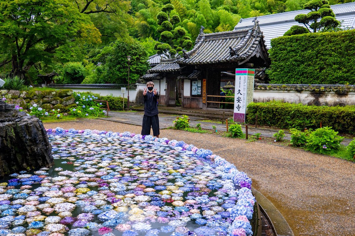 fudomyotaro's tweet photo. 久安寺

高野山真言宗の古刹で、神亀2年（725）に行基が開創。天長年間（824～834）には弘法大師空海が留錫し、真言密教の道場として栄えました。

久安元年（1145）に近衛天皇の勅願寺として再興され、久安寺と改称。豊臣秀吉も参拝した由緒あるお寺。 https://t.co/m009I8fxlN