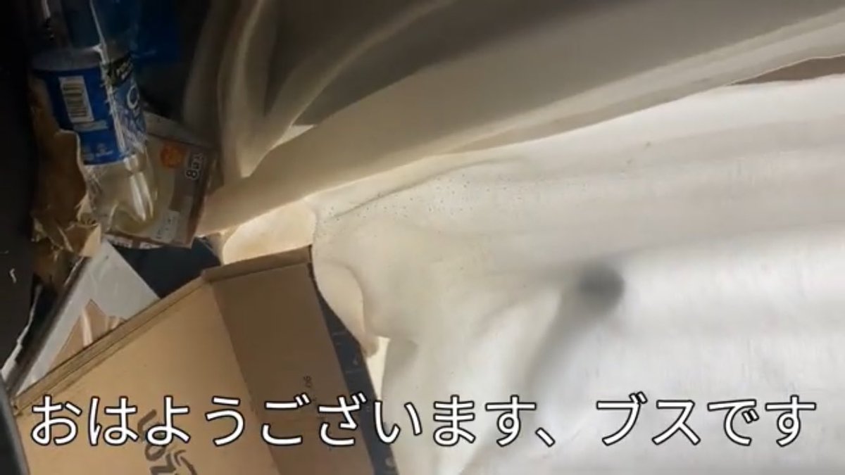 kirico_ABC's tweet photo. お気に入りポイント https://t.co/SzX6tzNjkL