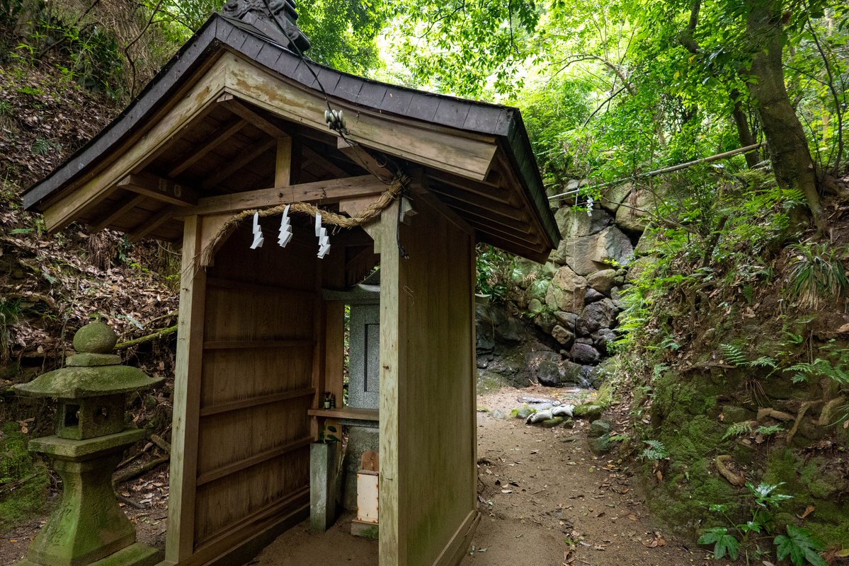 fudomyotaro's tweet photo. 玉祖神社⛩️

大阪府八尾市に鎮座する式内社で、和銅3年（710）に周防国一宮・玉祖神社から勧請された式内社で、祭神は櫛明玉命。

玉作部の祖神として崇敬されてきました。境内では、天岩戸神話で天照大神を招くために鳴かせたと伝わる神使・長鳴鶏が飼育され、神社の象徴となっています。 https://t.co/zQBf16K0Wo