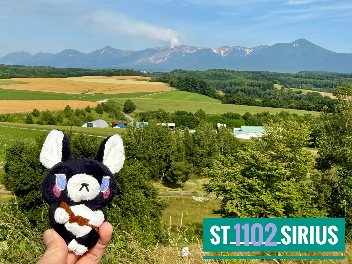 ST1102sirius's tweet photo. 帰りは上富良野と中富良野へ行ってきました٩(๑❛ᴗ❛๑)۶
#日の出公園
#サンタのヒゲ
#旅するろくちゃん https://t.co/SnBO2Tjsch