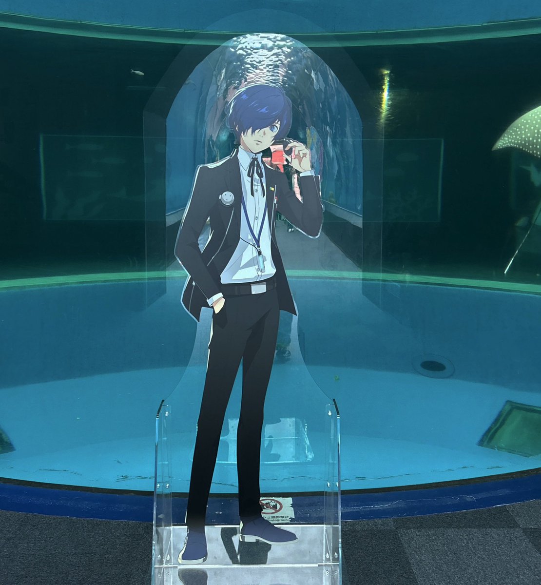 sasikuro's tweet photo. この間シーパラ行ってきました！雨で渋滞も凄かったけど無事遊べて良かった
どこもペルソナ尽くしで見る所たくさん興奮しっぱなしだったけど、無事ミッションも完遂できてイワシショーと初のイルカショーも見れて楽しい一日でした！推しばかり撮っちゃったね https://t.co/Qfl5fDddhc