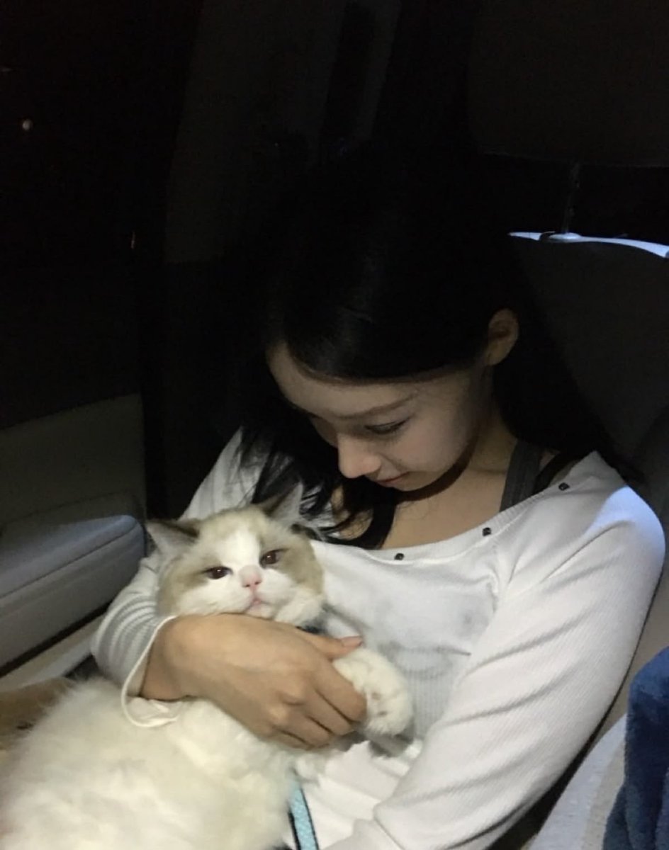 kentacky_fc's tweet photo. 정원이랑 동물들이랑 같이 있는 사진이네 🐱🐶
다들 너무 귀여워 😍
#초대남 #알고리즘 #맛집 https://t.co/NlvY42Z3PF