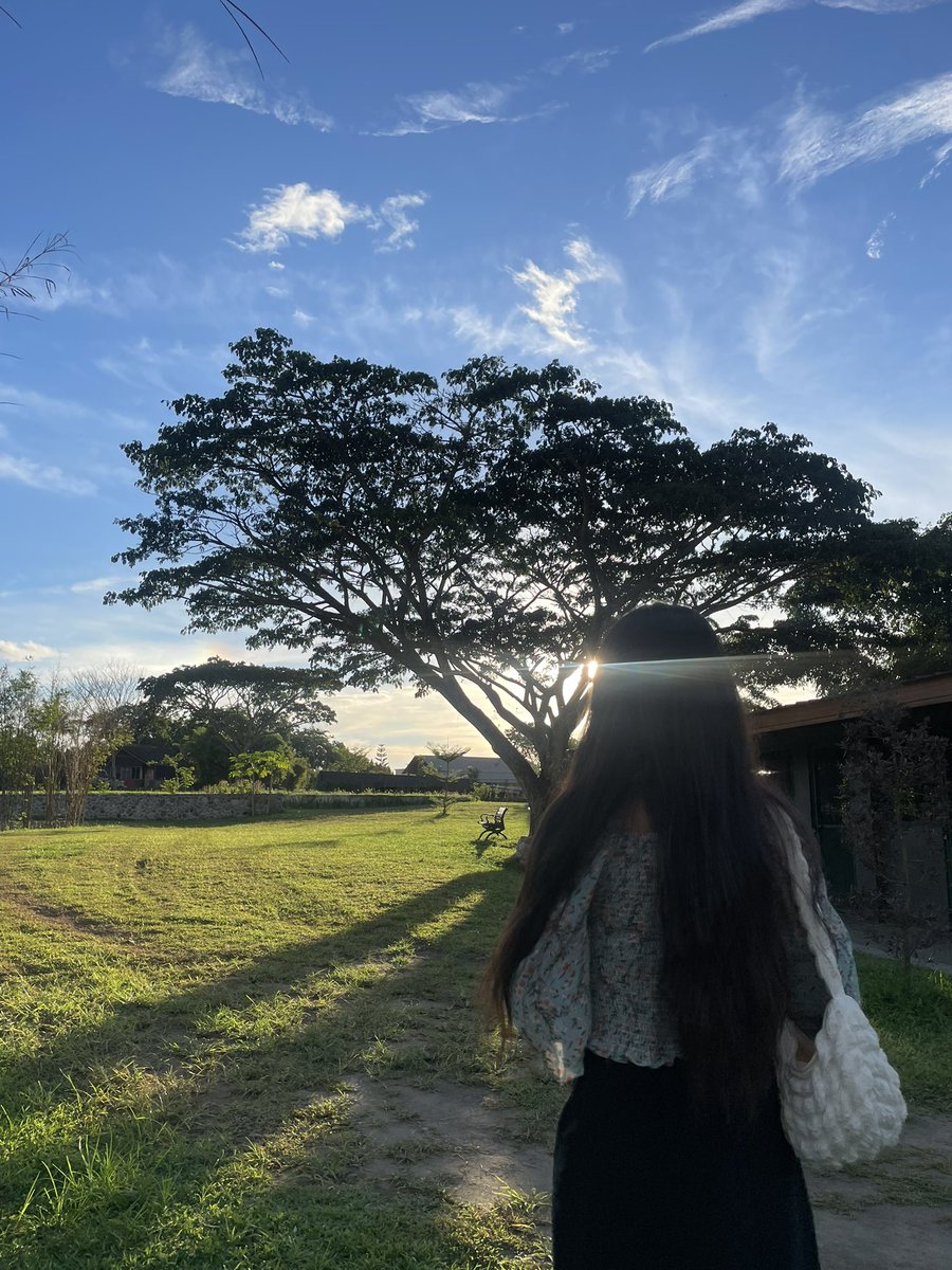 luckelle_'s tweet photo. angelfields nature sanctuary — 070426 https://t.co/MK3d7qzqVr