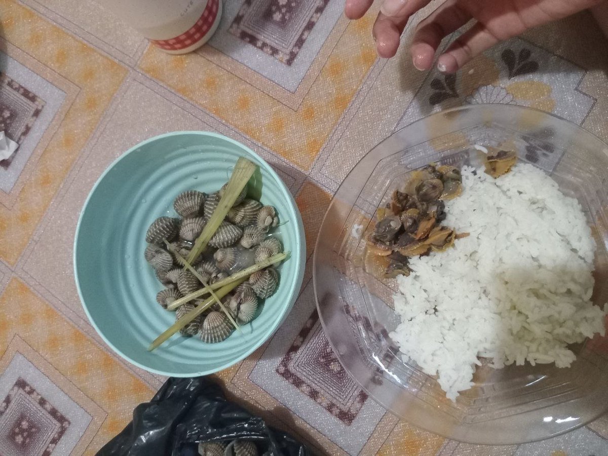NOIRSTRIDE's tweet photo. Makan siang remosa hari ini 😺 https://t.co/M93MSc4Qnb