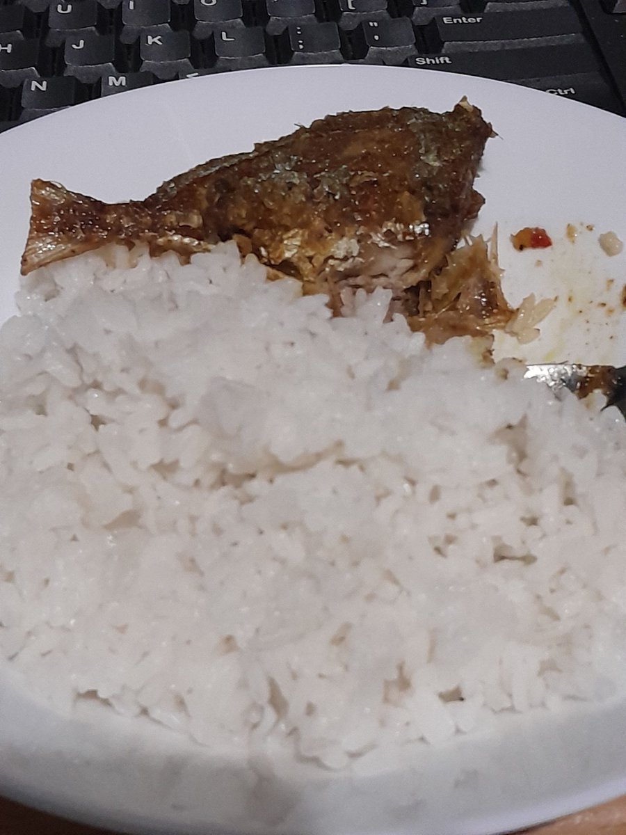 NOIRSTRIDE's tweet photo. Makan siang remosa hari ini 😺 https://t.co/M93MSc4Qnb