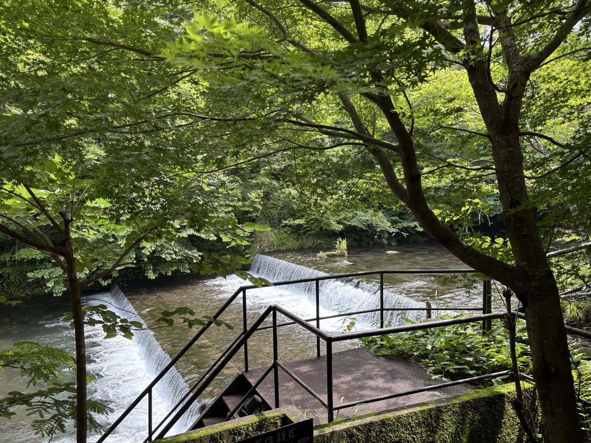 meg89186883's tweet photo. 箱根天山湯治郷。
源泉掛け流しの野趣溢れるお風呂に浸かって涼んでを繰り返し、自然と一体となったような不思議な感覚になった。
洗練された喫茶ルーム、美味しい料理にこだわりの本が並んだライ���ラリー、ゆったりとしたスタッフの方たちの対応、こんな温浴施設は初めて！ https://t.co/ztY773KzuF
