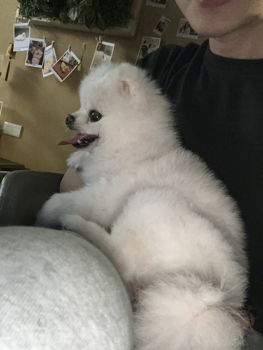 roy00331's tweet photo. 剛剛在中山逛街
看到之前
曖昧一小段結果之後就不回我的人
糟糕又要內耗了哈哈哈哈哈哈 https://t.co/EFQX8di3a1