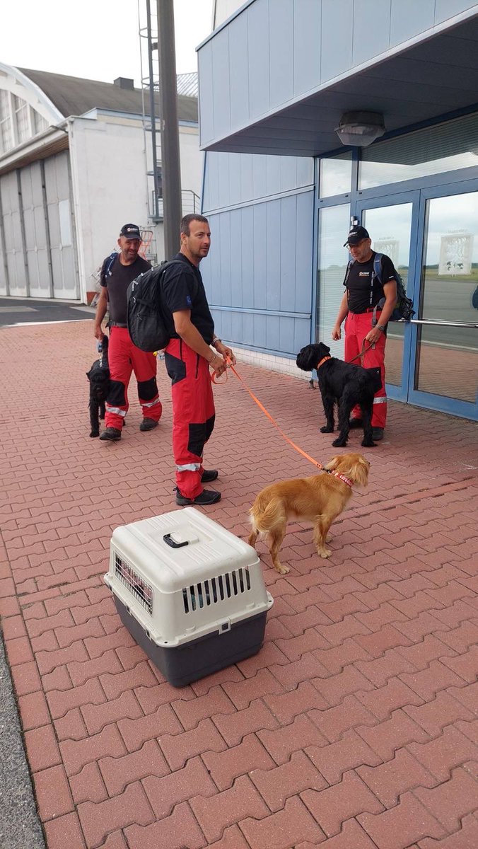 ArmadaCR's tweet photo. Domů se dnes vrátil český speciální hasičský tým USAR spolu se dvěma vojenskými lékaři, kteří v uplynulých dnech pomáhali ve Venezuele po ničivém zemětřesení při pátrání po přeživších a vyprošťování osob ze sutin.

První část týmu přiletěla brzy ráno na palubě armádního letounu Airbus A-319 na leteckou základnu v Praze-Kbelích. Odpoledne následoval zbytek příslušníků a specializovaný materiál, který do České republiky na letiště Václava Havla dopravil letoun Antonov An-124, zajištěný prostřednictvím programu NATO SALIS (Strategic Airlift International Solution). Ten členským státům Aliance umožňuje využívat sdílenou kapacitu strategické letecké přepravy pro převoz těžkého nebo rozměrného nákladu tam, kde běžné vojenské letouny nestačí.

S ohledem na rozsah a intenzitu zemětřesení se přes maximální úsilí záchranářů většinu pohřešovaných bohužel již nepodařilo nalézt živou. Přesto měla tato mise hluboký smysl. Je připomínkou, že pomoc druhým není jen o počtu zachráněných životů, ale také o solidaritě, profesionalitě a ochotě podat pomocnou ruku i tam, kde je naděje velmi malá.

Součástí týmu byli také vojenský lékař a vojenská lékařka Armády České republiky, kteří po celou dobu zajišťovali zdravotnickou péči pro české záchranáře. Armáda České republiky zároveň zajistila jejich strategickou přepravu do postižené oblasti i zpět. I to je důkaz, že spojenci jsou nejsilnější tehdy, když dokážou spojit své síly, schopnosti a prostředky.

Děkujeme všem příslušníkům českého USAR týmu, oběma vojenským lékařům, posádkám letadel, záchranářským psům i jejich psovodům a všem, kteří se na této náročné misi podíleli. Jsme hrdí, že Armáda České republiky mohla b��t součástí společného úsilí pomoci lidem v nouzi. Protože i pokusit se o zdánlivě nemožné má smysl.