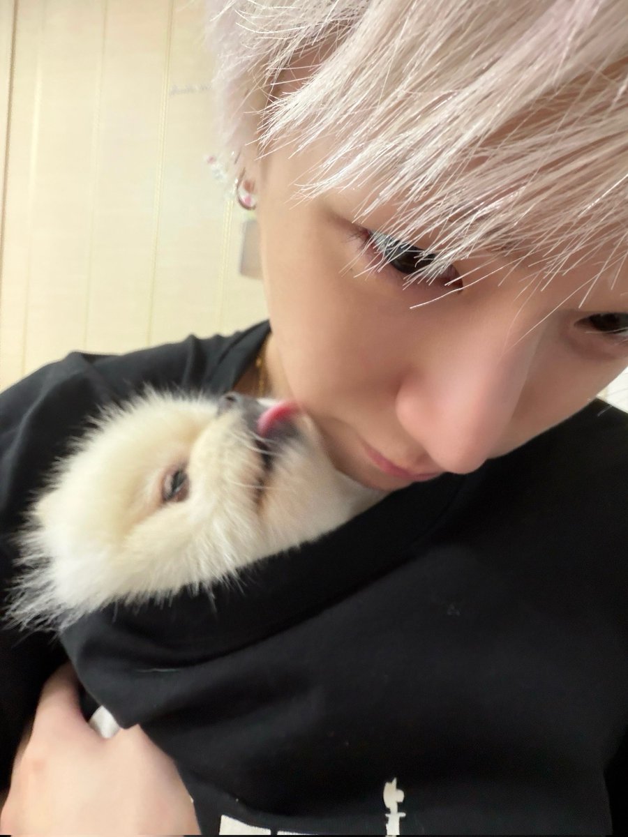 chyer822's tweet photo. 지금옷속에들어가잇는거야????이무해한조합어쩔거야... https://t.co/JIvZTWAavI