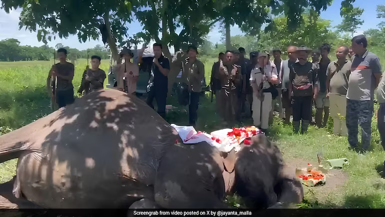 ndtv's tweet photo. Joymala, Kaziranga's Iconic Patrol Elephant Who Battled A Tiger, Dies At 66
https://t.co/1URcP7ePYX https://t.co/RNZnryjket