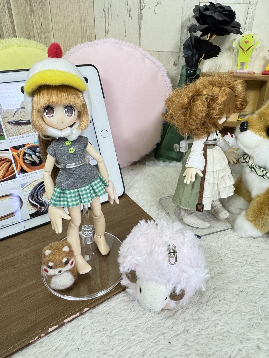 bearbeartyan's tweet photo. (๑ •̀ㅂ•́)و✧｛さぁ〜て、今夜の反省はぁ〜？
「『穴子ノ日』式反省いゃア！！ふぐタく〜ン！！」
₍ᐢ•ﻌ•ᐢ₎｛とりなんこつの日。どぅしぃ！！
#LilFairy
#アゾカツ
#深夜前のお題予想ドール撮影
#深夜のお題予想反省一本勝負 https://t.co/nVeoP9OuKX