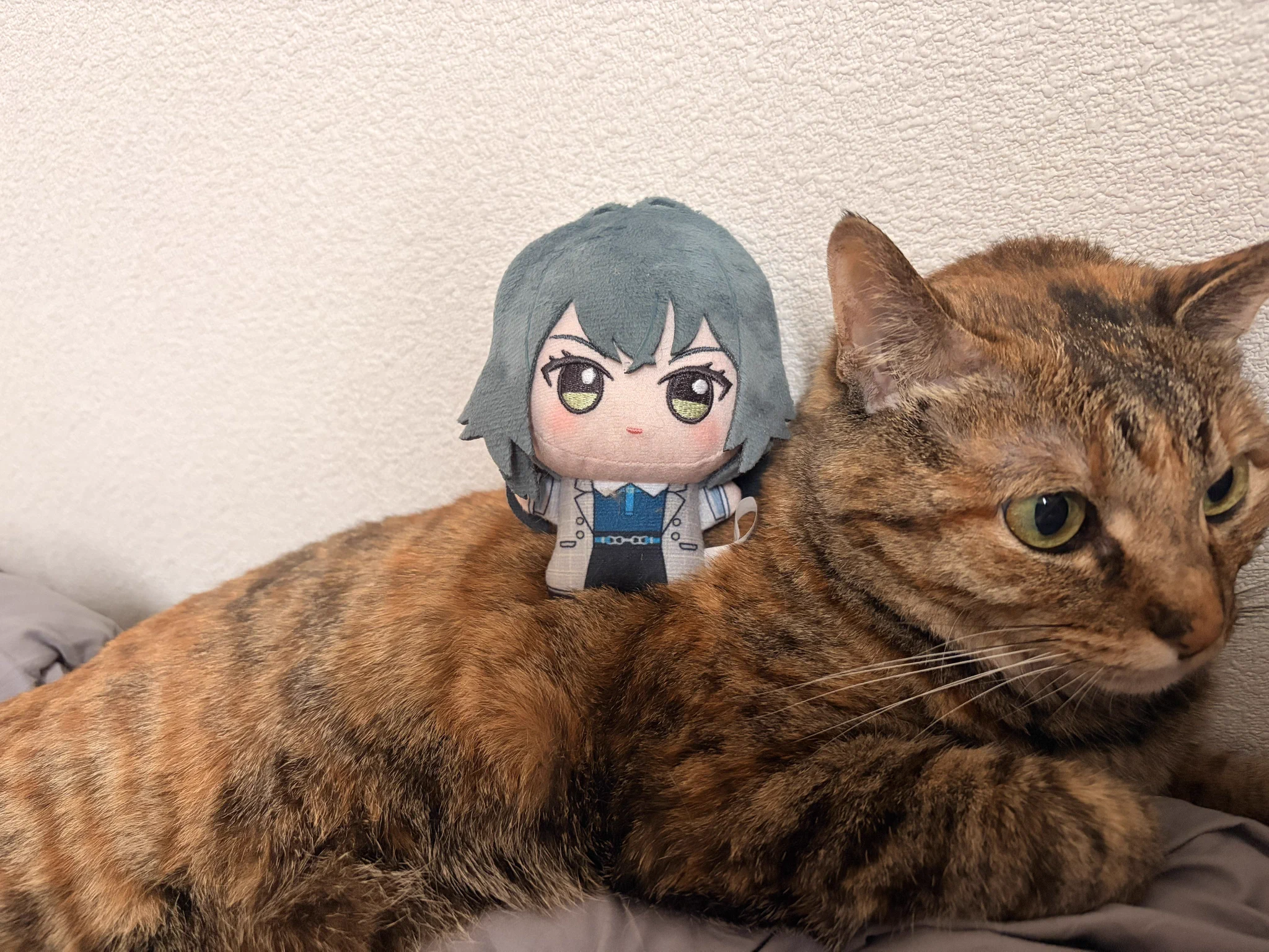 ゆきんこP (@yuki2kariage) / X