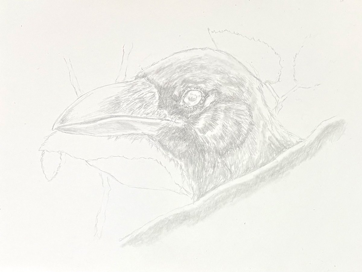 i93__348's tweet photo. 下描きの描き込み具合に迷う最近‥ https://t.co/YNGT9JkcPj