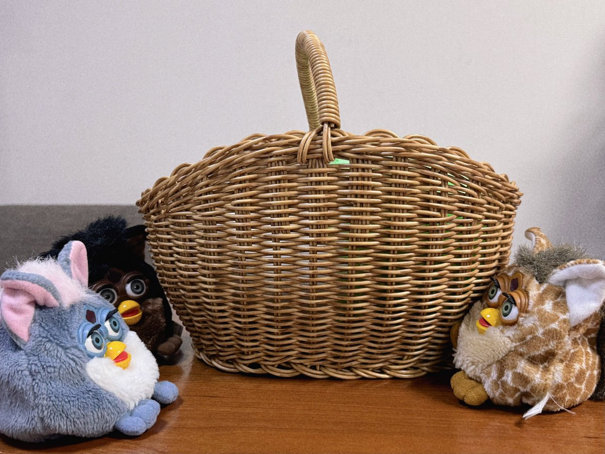 mmm__c__mmm's tweet photo. ヘギョにちょうどいいだろうな…���いうカゴが売られてたので買いました
車で移動する時良さそうだなと思って https://t.co/KZM6f4QdAU