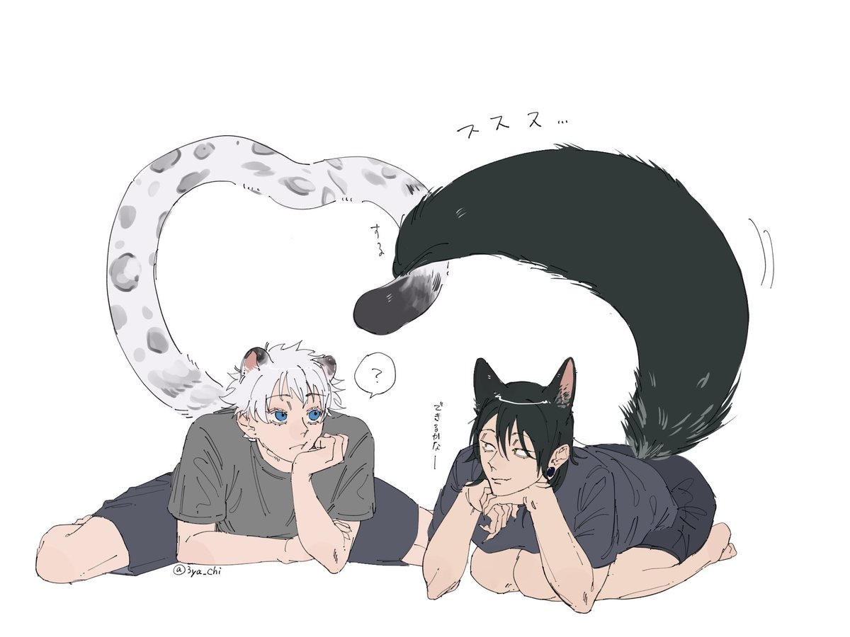 3ya_chi's tweet photo. 夏五🐾 https://t.co/nSVBonB1d0