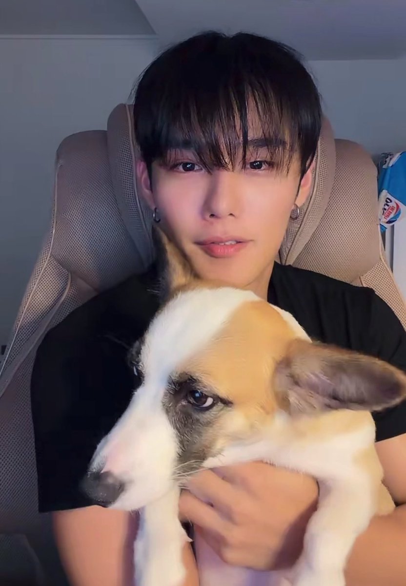 cixfixkr's tweet photo. cix current pet names 🐶🐱

byounggon - badu 🐶🐾
seunghun - shuni 🐶🐾
hyunsuk - yodeuli 🐱🤍

🥹 https://t.co/IR4FJfSAAw
