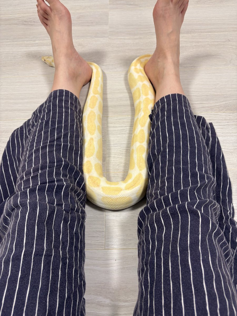 Hisu6660's tweet photo. この子は一体何してるん？ https://t.co/WneHdHVxRo
