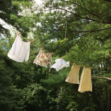 GaiaSerenity's tweet photo. peace in nature. https://t.co/lhcPvSGI7J