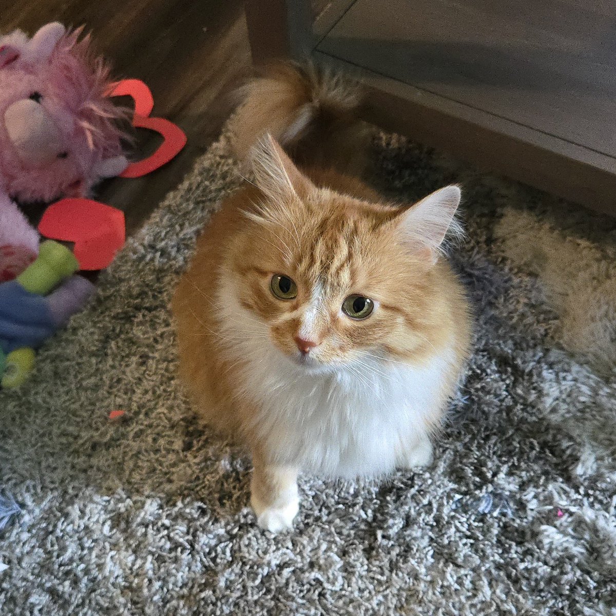 TriCopper's tweet photo. My littol feets https://t.co/y2u0Huv2Qa