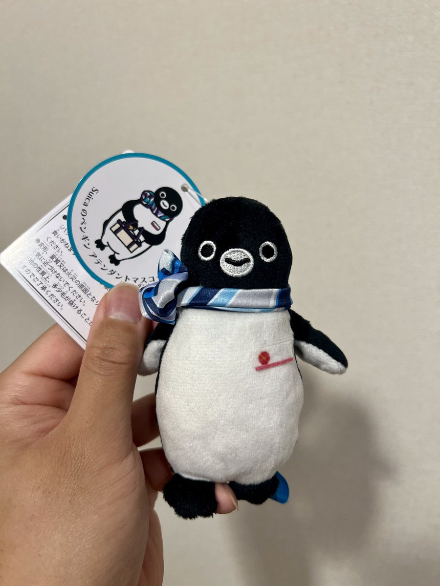 winglet__283's tweet photo. かわいい https://t.co/4L5ctF6IuD