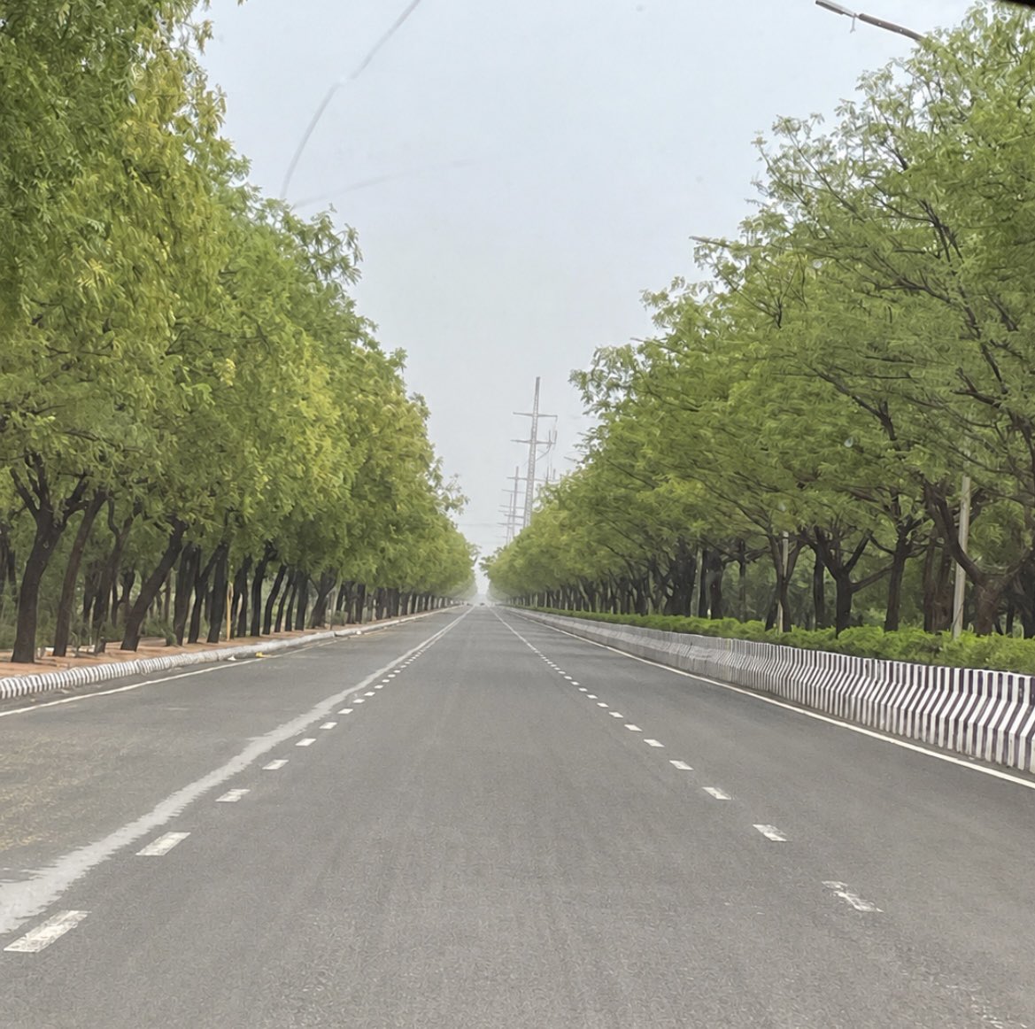 penguin_colony4's tweet photo. Only if all roads were like this

This one is in NOIDA

They’re using native neem trees in the thousands

Love this https://t.co/MEwVOgjrLV