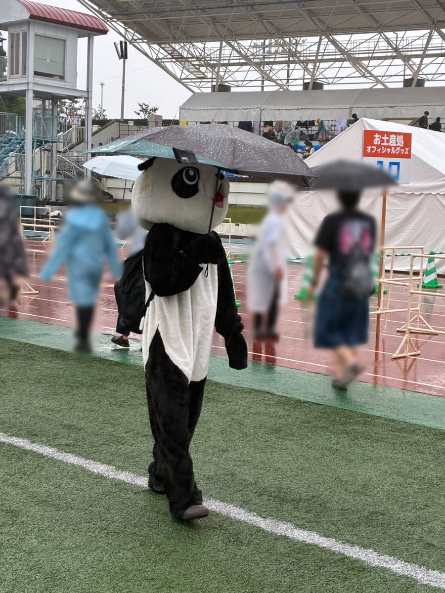 pazu_official2's tweet photo. 宇治市のパンダは雨が降ったら傘を差します。

 #京都大作戦2026 https://t.co/0ppTkTpIDK