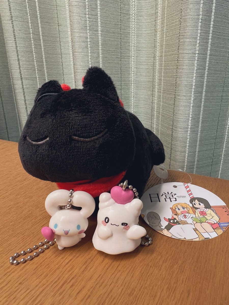 Gersh_sub's tweet photo. お迎えした〜✨ https://t.co/xLCmzQZRUU