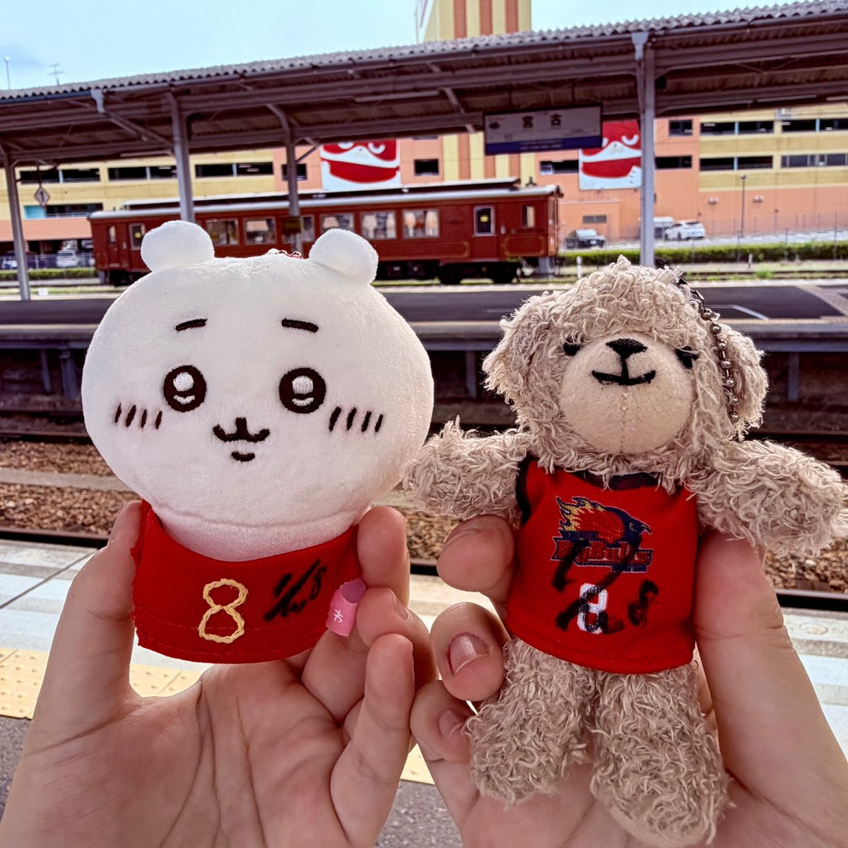 bullzonnu's tweet photo. 久々のリンリンに緊張した…！リンリンのサイン増えて嬉しいなー🥰明日からも仕事頑張れそう！ https://t.co/HdhIZ1uU8V