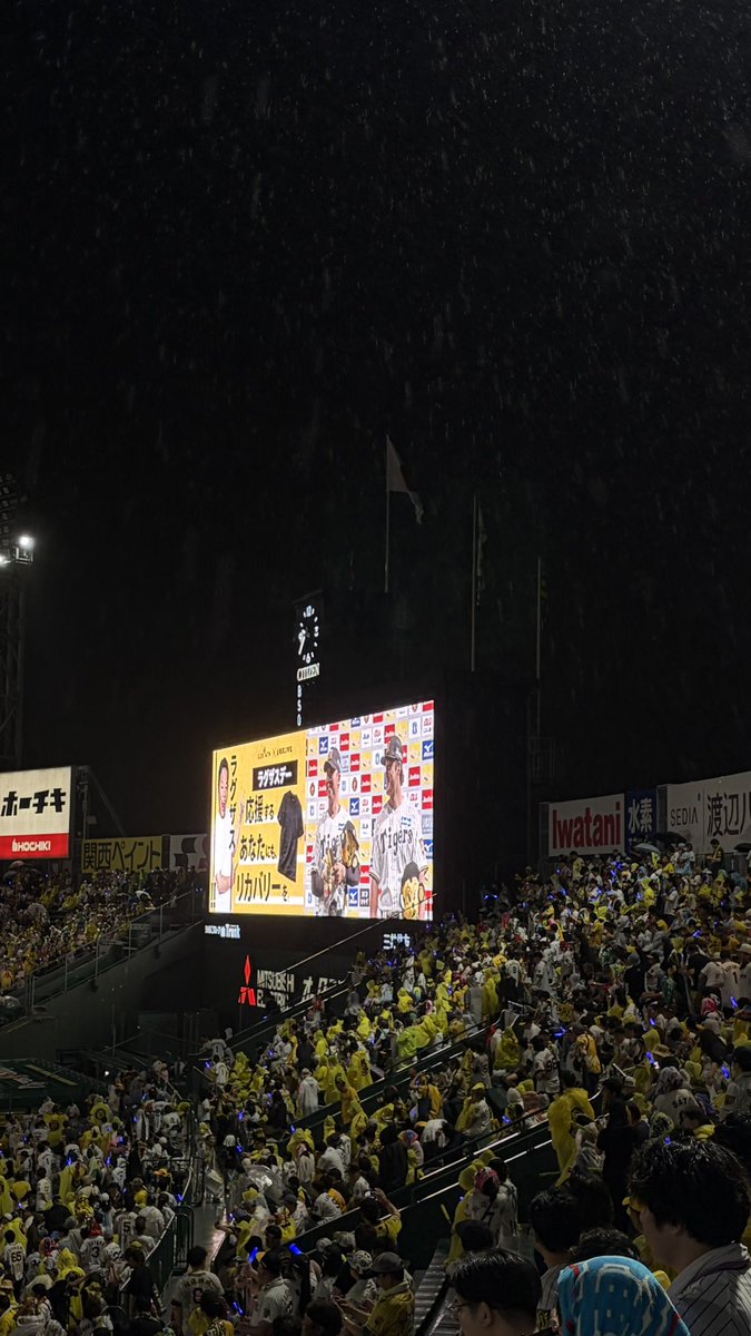 tigers___lover's tweet photo. 現地より、とらほー！ https://t.co/nv4gZJMLxb