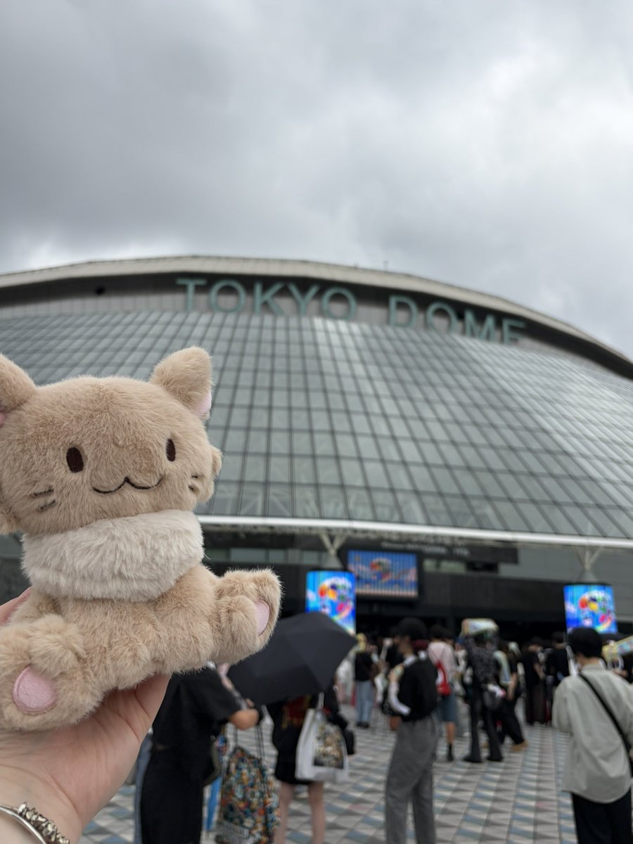 haru220308's tweet photo. 最高どした……

  #TOP4TOKYODOME2 https://t.co/ytUF4gpacX