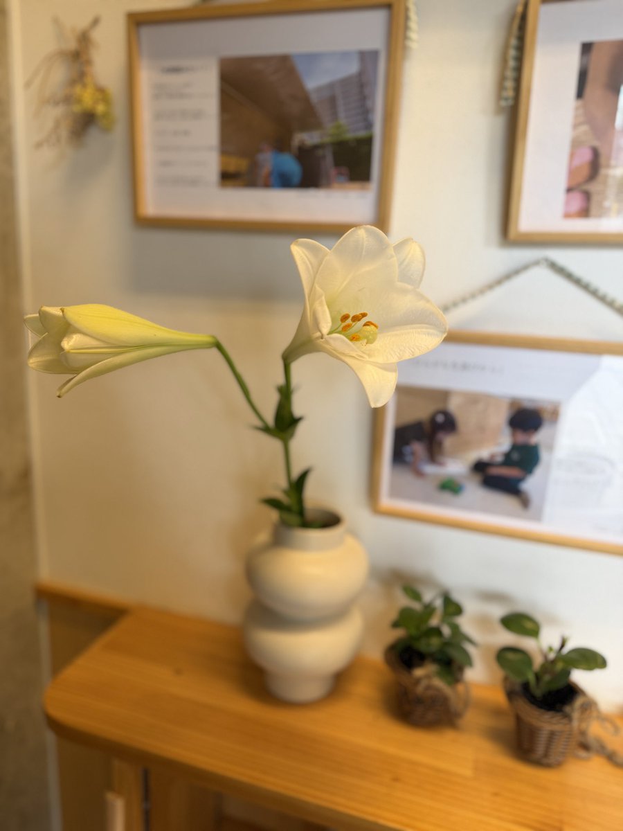 yuki_thanka's tweet photo. 流山の園の玄関

芒種も過ぎてしまったので、忘れないうちに

梅の瓶や、百合や、紫陽花

生きた季節のものが少しあるだけで、玄関の空気がやわらかくなる気がします

毎日通る場所だからこそ、
こういう小さな季節の気配を大事にしたいなと思っています。

それを各園でやってくれているのが嬉しい

#thanka 
#thanka保育園ながれやま